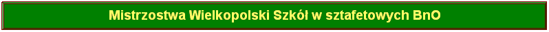 Przycisk akcji: niestandardowy: Mistrzostwa Wielkopolski Szk w sztafetowych BnO
Skoki
